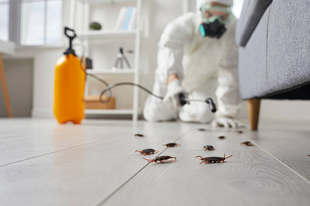 Commercial Kitchen Cockroach Control in Colesville